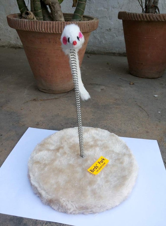 Birds' Park Cat Toy with Rat Spring Imported Good Toys for cat to Play for Fun - Image 1